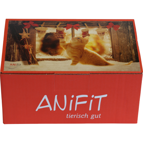 Katze Snacks Weihnachtspaket Katze 1 Packung -1- Anifit